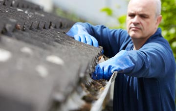 cleaning and inspecting Spen Green roofs